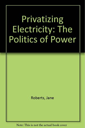 Privatising Electricity: The Politics of Power by Jane Roberts