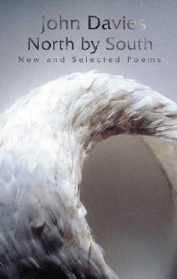 North by South: New and Selected Poems by John Davies