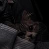 mallory_q's profile picture