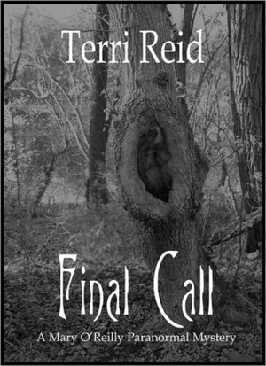 Final Call by Terri Reid