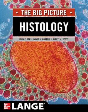 Histology: The Big Picture by John F. Ash, David A. Morton, Sheryl A. Scott