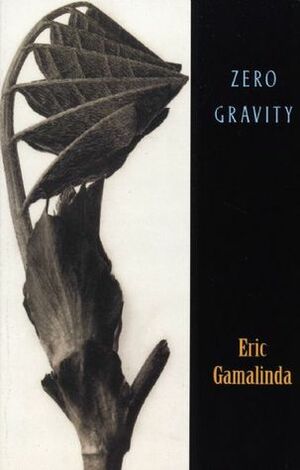Zero Gravity by Eric Gamalinda