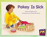 Pokey is Sick by Debbie Croft