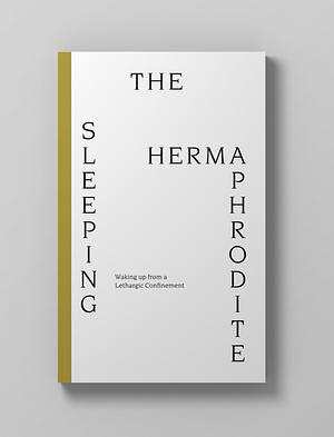 The Sleeping Hermaphrodite by Juan Duque