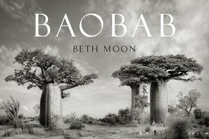 Baobab by Beth Moon