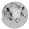 dwmcnutsky's profile picture