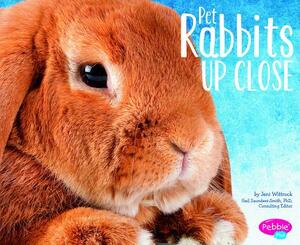 Pet Rabbits Up Close by Jeni Wittrock