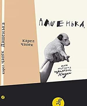 Дашенька, или история щенячьей жизни by Karel Čapek