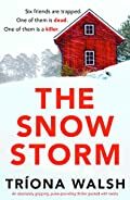 The Snow Storm by 