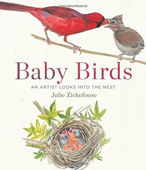 Baby Birds: An Artist Looks into the Nest by Julie Zickefoose