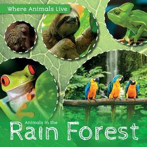 Animals in the Rain Forest by John Wood