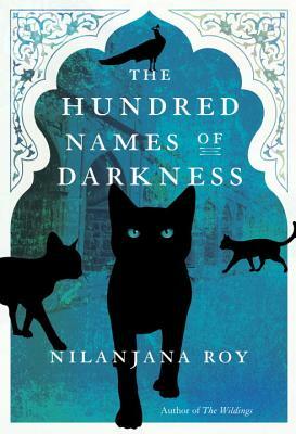 The Hundred Names of Darkness by Nilanjana Roy