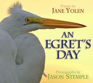 An Egret's Day by Jane Yolen, Jason Stemple