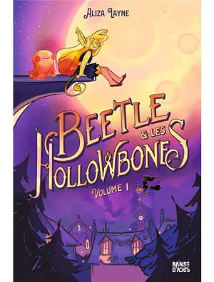 Beetle et les Hollowbones Tome 1, Volume 1 by Aliza Layne