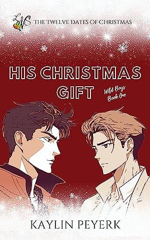 His Christmas Gift: A College Contemporary Christmas Romance Novella by Kaylin Peyerk