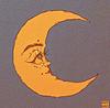 moonknigt's profile picture