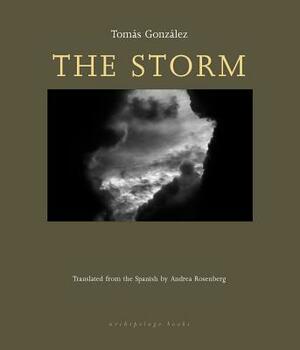 The Storm by Tomás González