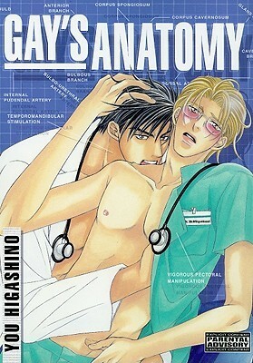 Gay's Anatomy by You Higashino