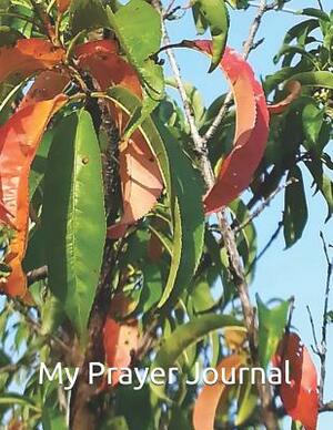 My Prayer Journal: Prayer is a shield to the soul, a sacrifice to God, and a scourge for Satan. John Bunyan by Rose Elaine