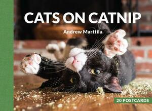 Cats on Catnip: 20 Postcards by Andrew Marttila