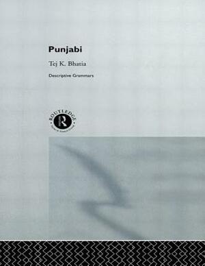 Punjabi: A Cognitive-Descriptive Grammar by Tej Bhatia