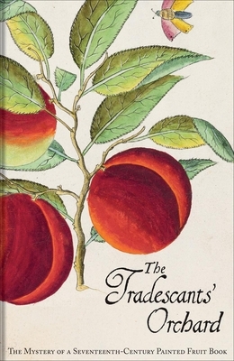 The Tradescants' Orchard: The Mystery of a Seventeenth-Century Painted Fruit Book by Barrie Juniper, Hanneke Grootenboer
