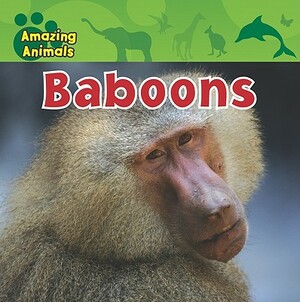 Baboons by Christina Wilsdon