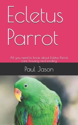 Ecletus Parrot: All you need to know about Ecletus Parrot, care, housing and feeding by Paul Jason