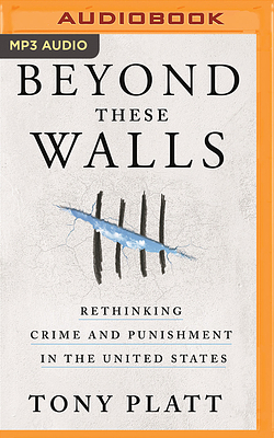 Beyond These Walls: Rethinking Crime and Punishment in the United States by Tony Platt