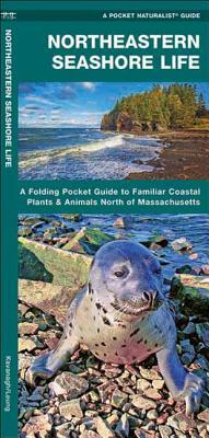 Northeastern Seashore Life: A Folding Pocket Guide to Familiar Coastal Species North of Massachusetts by Waterford Press, James Kavanagh