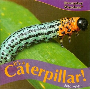 It's a Caterpillar! by Elisa Peters