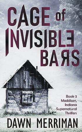 Cage of Invisible Bars by Dawn Merriman