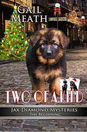 Two of a Kind: The Beginning by Gail Meath, Gail Meath