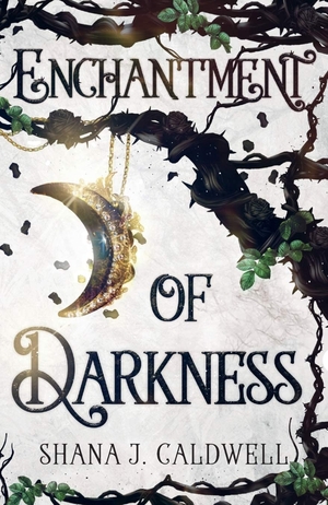 Enchantment of Darkness by Shana J. Caldwell