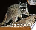 Raccoons by J. Angelique Johnson