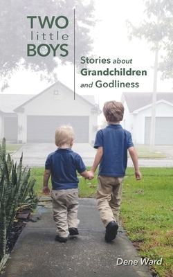 Two Little Boys: Stories about Grandchildren and Godliness by Dene Ward