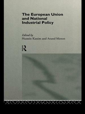 The European Union and National Industrial Policy by 