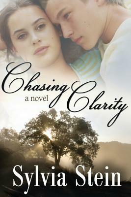 Chasing Clarity by Sylvia Stein