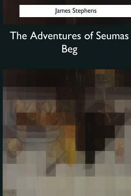 The Adventures of Seumas Beg: The Rocky Road to Dublin by James Stephens