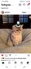 niatella's profile picture
