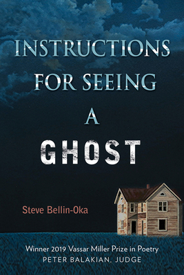 Instructions for Seeing a Ghost by Steve Bellin-Oka