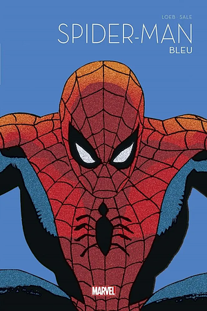 Spider-man: Bleu by Jeph Loeb, Tim Sale