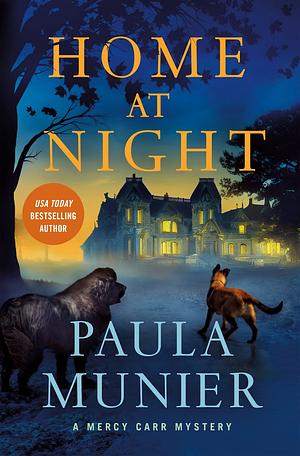 Home at Night by Paula Munier