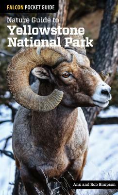 Nature Guide to Yellowstone National Park by Ann Simpson, Rob Simpson