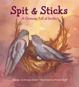 Spit & Sticks: A Chimney Full of Swifts by Marilyn Grohoske Evans