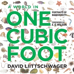 A World in One Cubic Foot: Portraits of Biodiversity by David Liittschwager