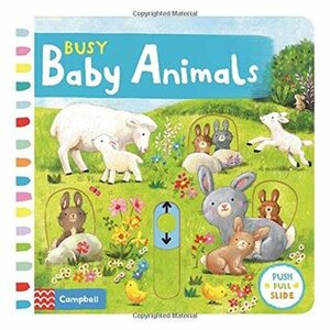Busy Baby Animals (Busy Books) by Ag Jatkowska