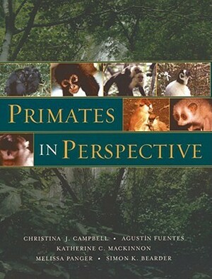 Primates in Perspective by Christina J. Campbell, Katherine C. MacKinnon, Agustín Fuentes