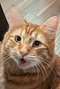 aimszee's profile picture