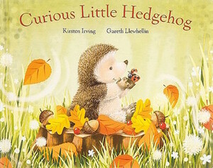 Curious Little Hedgehog by Kirsten Irving, Gareth Llewhellin